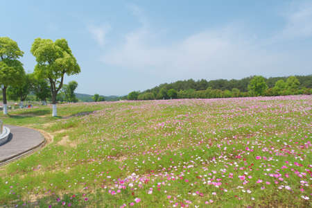 Spring scenery of Huangpi Mulan Yunwu Mountain in Wuhan, Hubeiの写真素材
