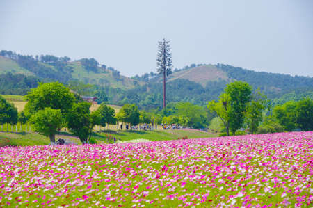 Spring scenery of Huangpi Mulan Yunwu Mountain in Wuhan, Hubeiの写真素材