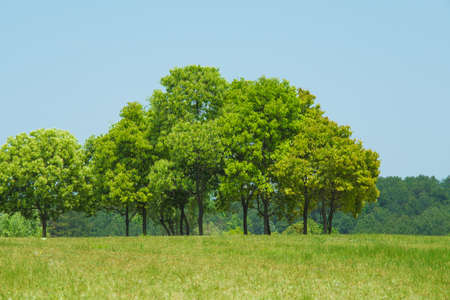 Spring scenery of Huangpi Mulan Yunwu Mountain in Wuhan, Hubeiの写真素材