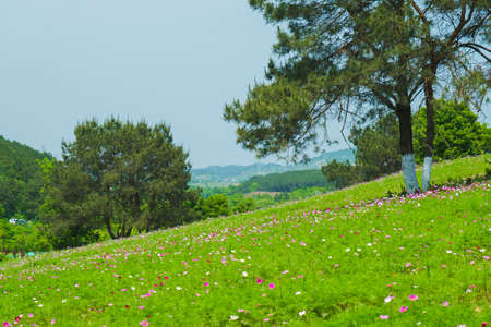 Spring scenery of Huangpi Mulan Yunwu Mountain in Wuhan, Hubeiの写真素材