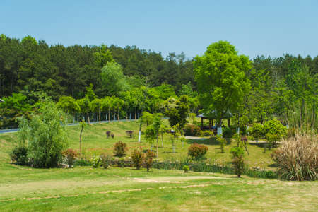 Spring scenery of Huangpi Mulan Yunwu Mountain in Wuhan, Hubeiの写真素材