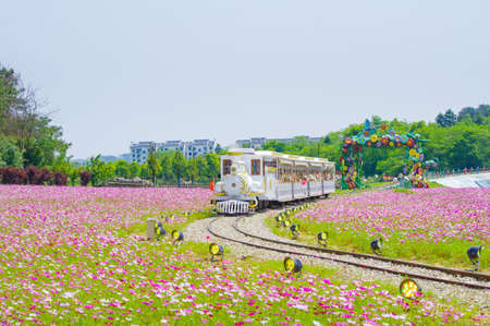 Spring scenery of Huangpi Mulan Yunwu Mountain in Wuhan, Hubeiのeditorial素材