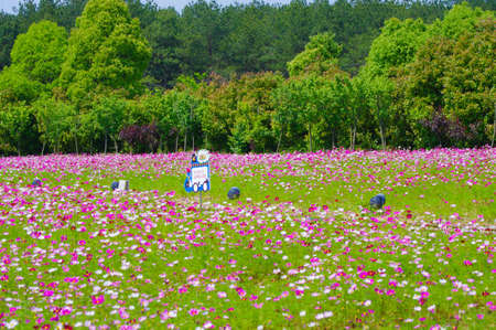 Spring scenery of Huangpi Mulan Yunwu Mountain in Wuhan, Hubeiのeditorial素材