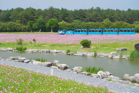 Spring scenery of Huangpi Mulan Yunwu Mountain in Wuhan, Hubeiのeditorial素材