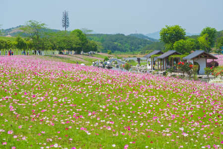 Spring scenery of Huangpi Mulan Yunwu Mountain in Wuhan, Hubeiのeditorial素材
