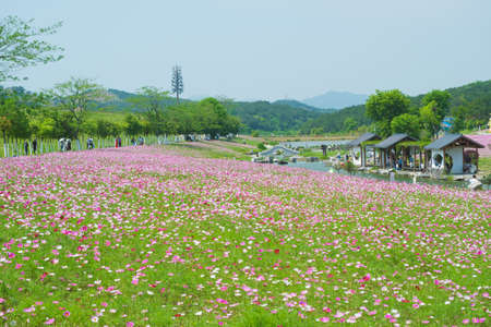 Spring scenery of Huangpi Mulan Yunwu Mountain in Wuhan, Hubeiのeditorial素材