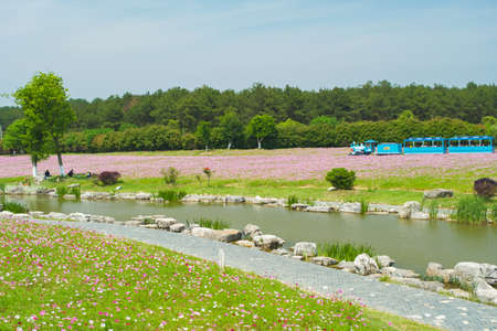 Spring scenery of Huangpi Mulan Yunwu Mountain in Wuhan, Hubeiのeditorial素材
