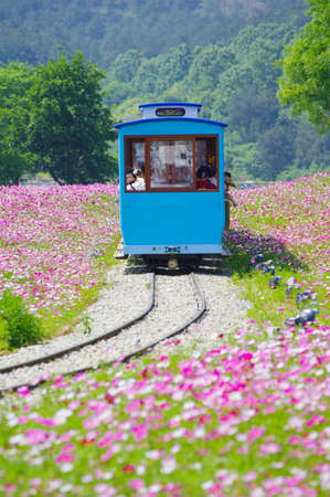 Spring scenery of Huangpi Mulan Yunwu Mountain in Wuhan, Hubeiのeditorial素材