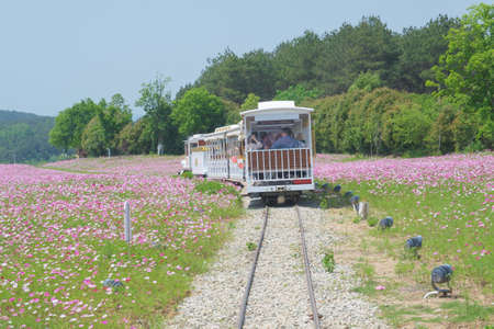 Spring scenery of Huangpi Mulan Yunwu Mountain in Wuhan, Hubeiのeditorial素材