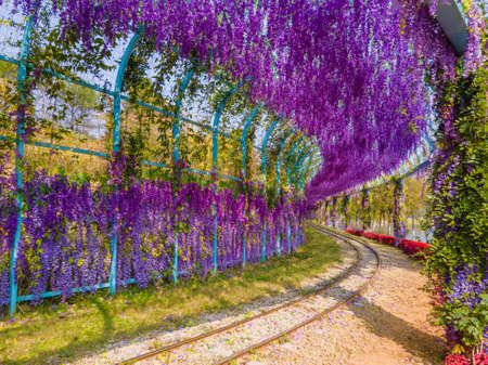 Autumn scenery of Mulan Grassland Scenic Area in Wuhan, Hubeiの写真素材