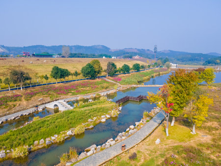 Autumn scenery of Mulan Grassland Scenic Area in Wuhan, Hubeiの写真素材