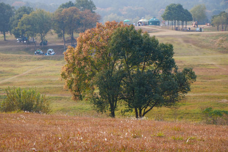 Autumn scenery of Mulan Grassland Scenic Area in Wuhan, Hubeiの写真素材
