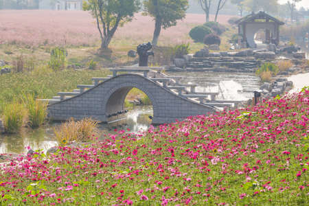 Autumn scenery of Mulan Grassland Scenic Area in Wuhan, Hubeiの写真素材