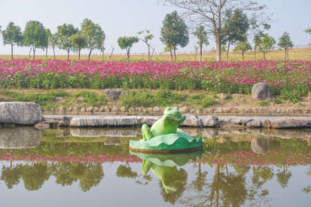 Autumn scenery of Mulan Grassland Scenic Area in Wuhan, Hubeiの写真素材