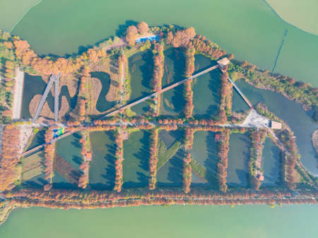 The scenery of Donghu Scenic Area in Wuhan, Hubei in late autumn and early winterの写真素材