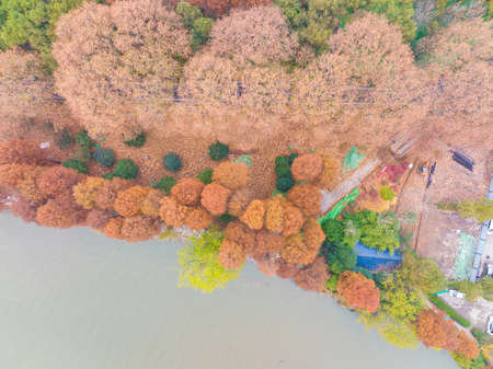 The scenery of Donghu Scenic Area in Wuhan, Hubei in late autumn and early winterの写真素材