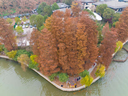 The scenery of Donghu Scenic Area in Wuhan, Hubei in late autumn and early winterの写真素材