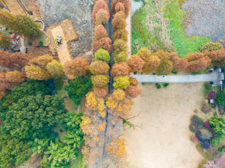 The scenery of Donghu Scenic Area in Wuhan, Hubei in late autumn and early winterの写真素材