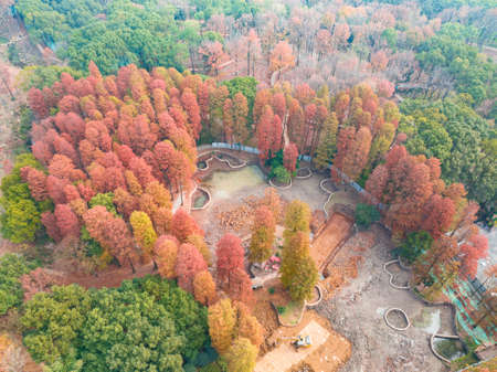 The scenery of Donghu Scenic Area in Wuhan, Hubei in late autumn and early winterの写真素材