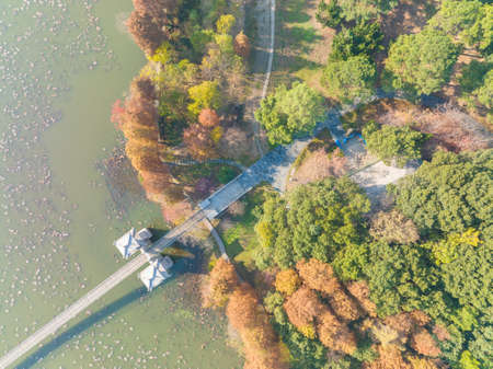 The scenery of Donghu Scenic Area in Wuhan, Hubei in late autumn and early winterの写真素材