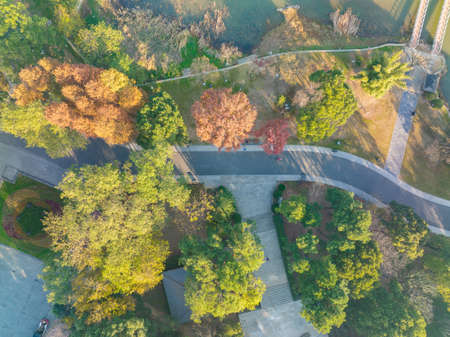 The scenery of Donghu Scenic Area in Wuhan, Hubei in late autumn and early winterの写真素材