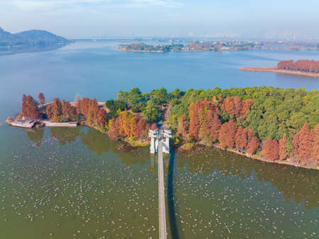 The scenery of Donghu Scenic Area in Wuhan, Hubei in late autumn and early winterの写真素材