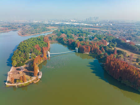 The scenery of Donghu Scenic Area in Wuhan, Hubei in late autumn and early winterの写真素材