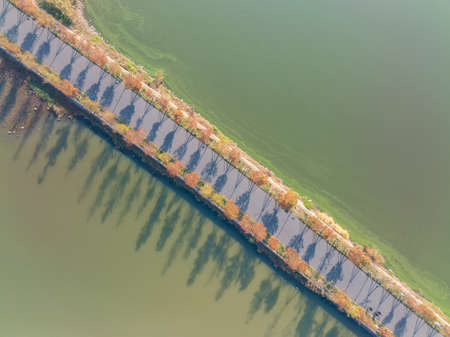 The scenery of Donghu Scenic Area in Wuhan, Hubei in late autumn and early winterの写真素材