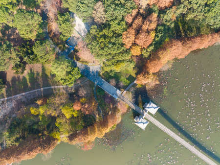 The scenery of Donghu Scenic Area in Wuhan, Hubei in late autumn and early winterの写真素材