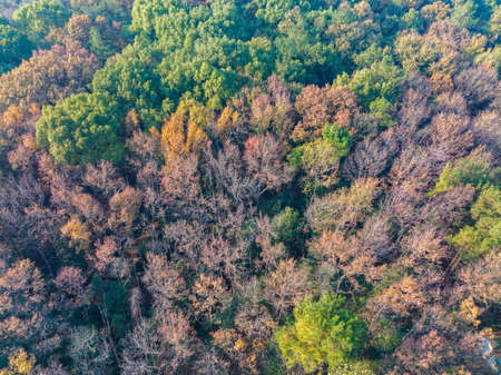 The scenery of Donghu Scenic Area in Wuhan, Hubei in late autumn and early winterの写真素材