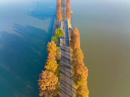 The scenery of Donghu Scenic Area in Wuhan, Hubei in late autumn and early winterの写真素材