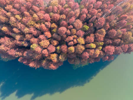 The scenery of Donghu Scenic Area in Wuhan, Hubei in late autumn and early winterの写真素材