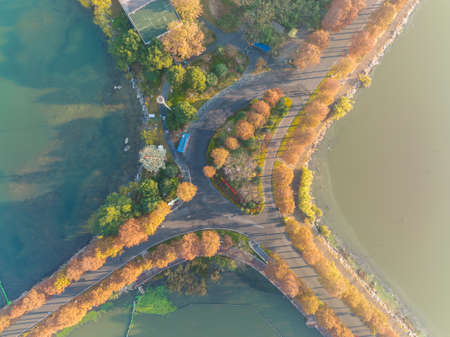 The scenery of Donghu Scenic Area in Wuhan, Hubei in late autumn and early winterの写真素材