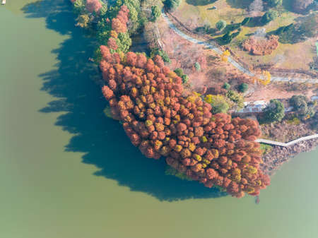 The scenery of Donghu Scenic Area in Wuhan, Hubei in late autumn and early winterの写真素材