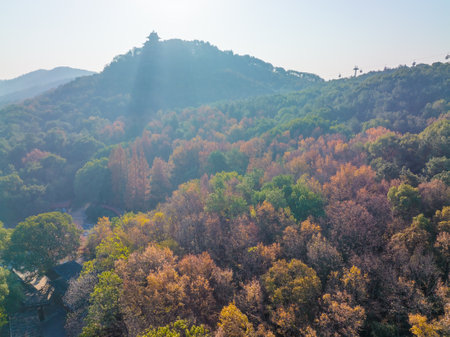 The scenery of Donghu Scenic Area in Wuhan, Hubei in late autumn and early winterの写真素材