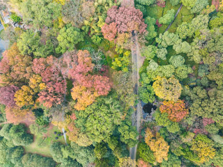 The scenery of Donghu Scenic Area in Wuhan, Hubei in late autumn and early winterの写真素材