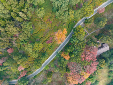 The scenery of Donghu Scenic Area in Wuhan, Hubei in late autumn and early winterの写真素材