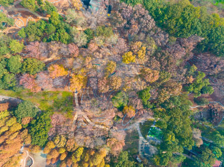 The scenery of Donghu Scenic Area in Wuhan, Hubei in late autumn and early winterの写真素材