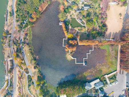 The scenery of Donghu Scenic Area in Wuhan, Hubei in late autumn and early winterの写真素材