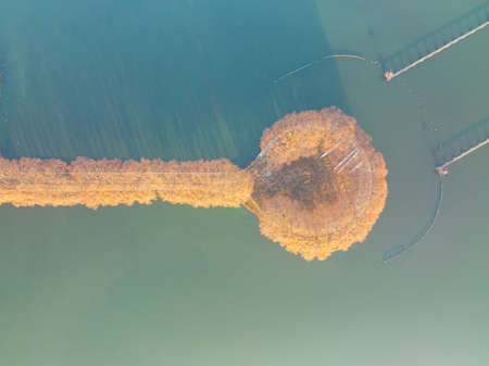 The scenery of Donghu Scenic Area in Wuhan, Hubei in late autumn and early winterの写真素材