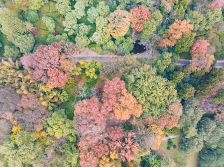 The scenery of Donghu Scenic Area in Wuhan, Hubei in late autumn and early winterの写真素材