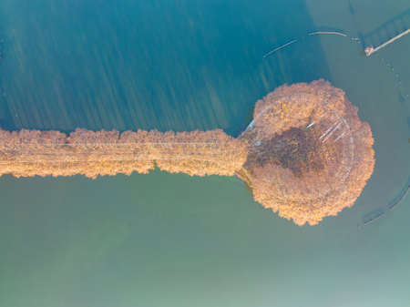 The scenery of Donghu Scenic Area in Wuhan, Hubei in late autumn and early winterの写真素材