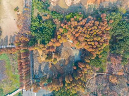 The scenery of Donghu Scenic Area in Wuhan, Hubei in late autumn and early winterの写真素材