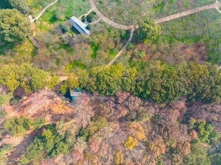 The scenery of Donghu Scenic Area in Wuhan, Hubei in late autumn and early winterの写真素材