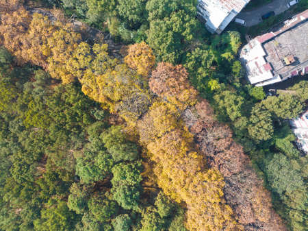 The scenery of Donghu Scenic Area in Wuhan, Hubei in late autumn and early winterの写真素材