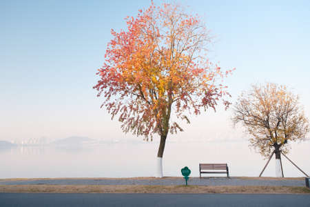 The scenery of Donghu Scenic Area in Wuhan, Hubei in late autumn and early winterの写真素材