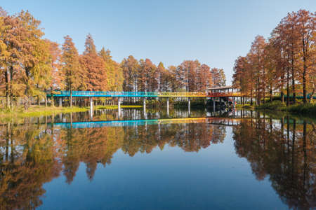 The scenery of Donghu Scenic Area in Wuhan, Hubei in late autumn and early winterの写真素材
