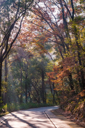 The scenery of Donghu Scenic Area in Wuhan, Hubei in late autumn and early winterの写真素材