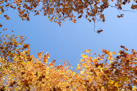 The scenery of Donghu Scenic Area in Wuhan, Hubei in late autumn and early winterの写真素材