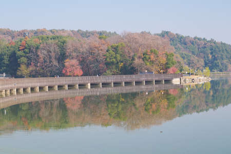 The scenery of Donghu Scenic Area in Wuhan, Hubei in late autumn and early winterの写真素材